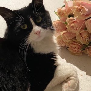 Meet your Posher, Meghan